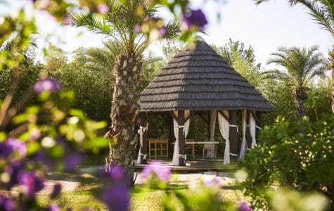 Voyagez près de chez vous dans les Pyrénées-Orientales 1