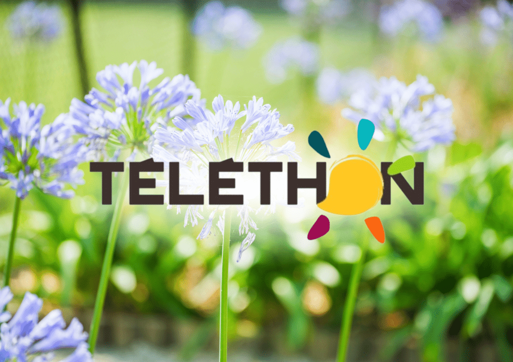 🎗️ Téléthon au Dauphin à Argelès-sur-Mer 🎗️ 1