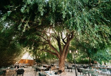 Mariages et Anniversaires 2