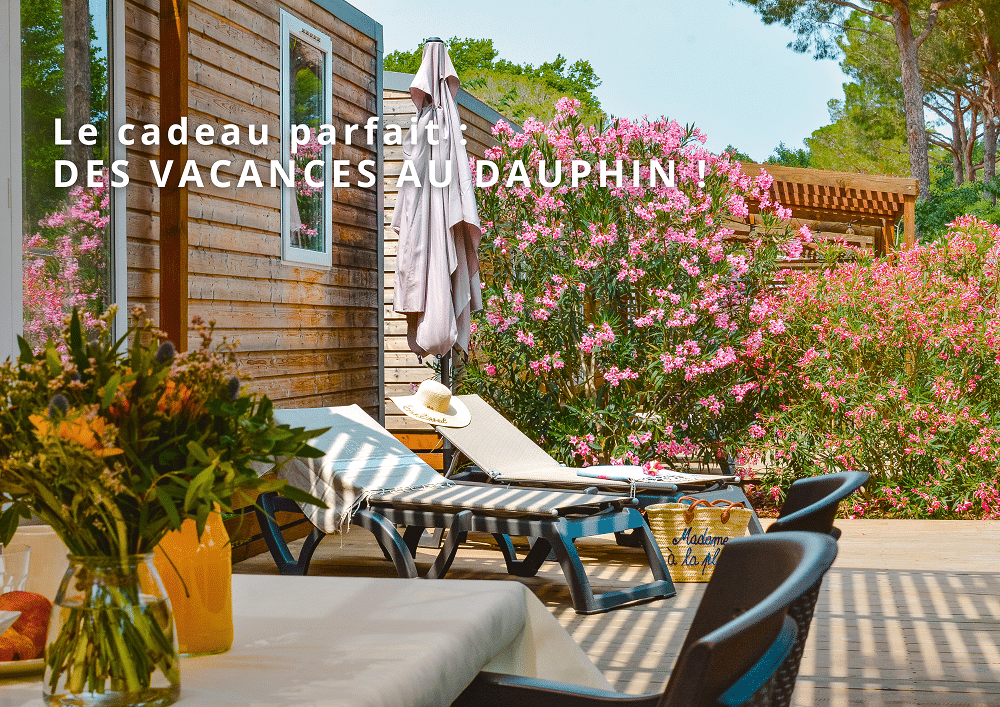 VIVRE SES RÊVES AU DAUPHIN 1